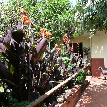 קוסקו Kukuli Lodge B&B מראה חיצוני תמונה
