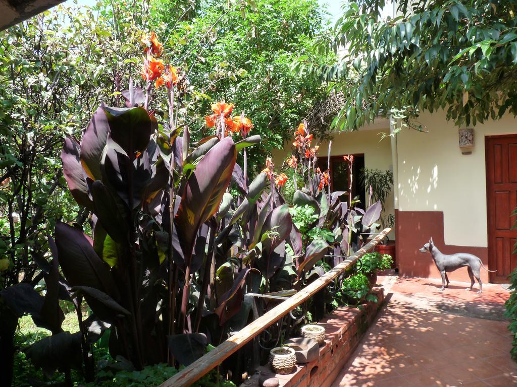 קוסקו Kukuli Lodge B&B מראה חיצוני תמונה