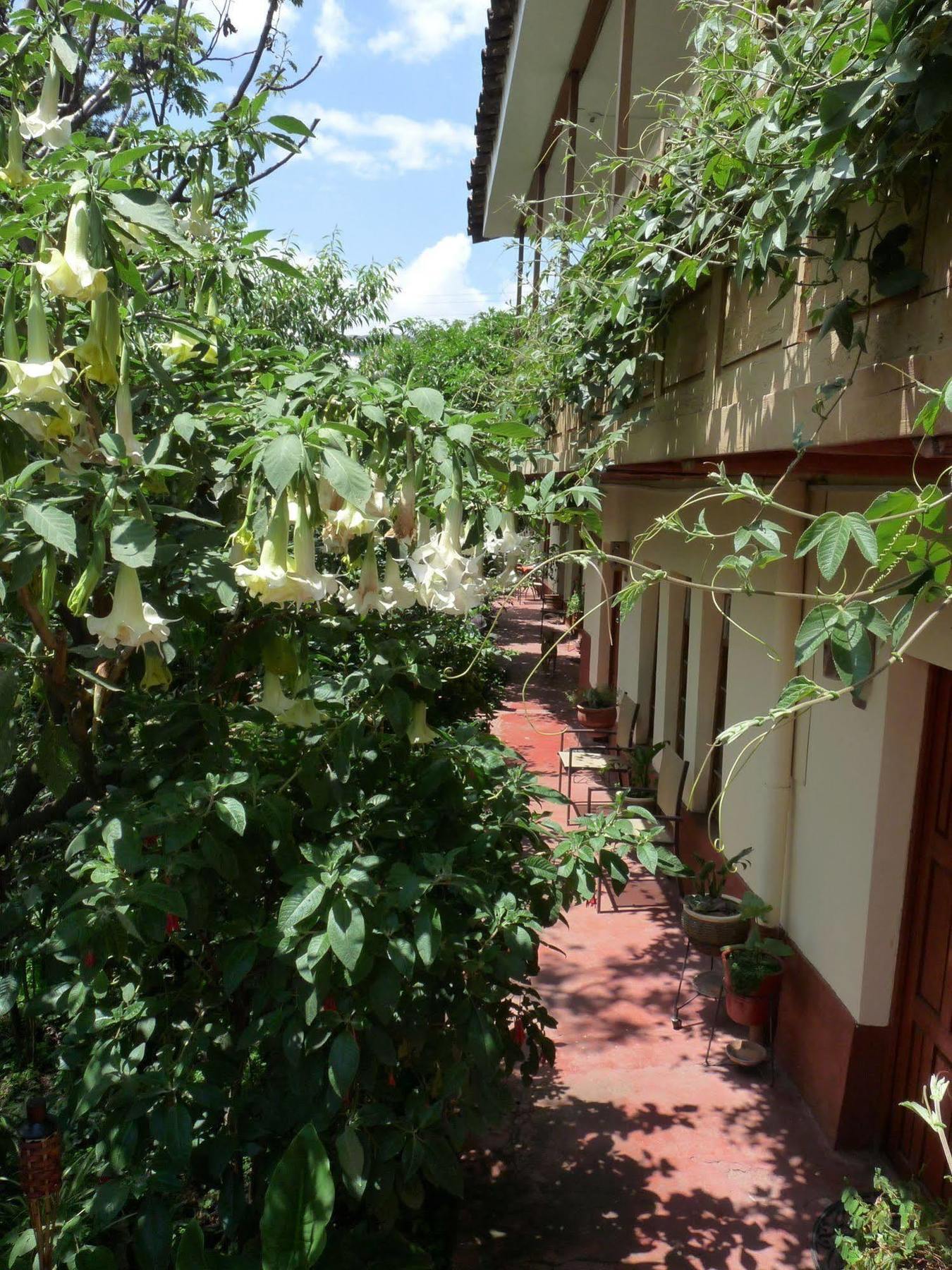 קוסקו Kukuli Lodge B&B מראה חיצוני תמונה