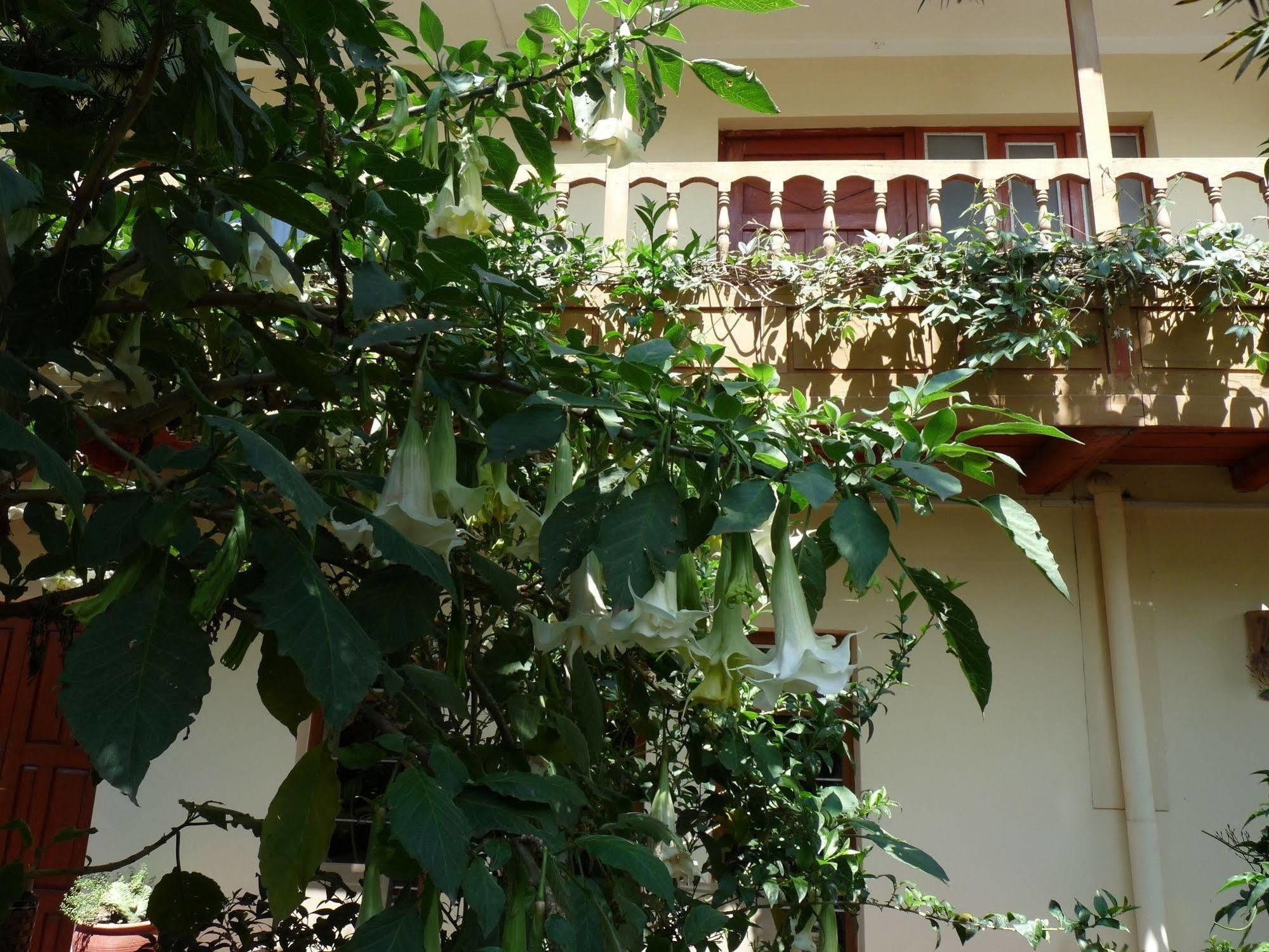 קוסקו Kukuli Lodge B&B מראה חיצוני תמונה