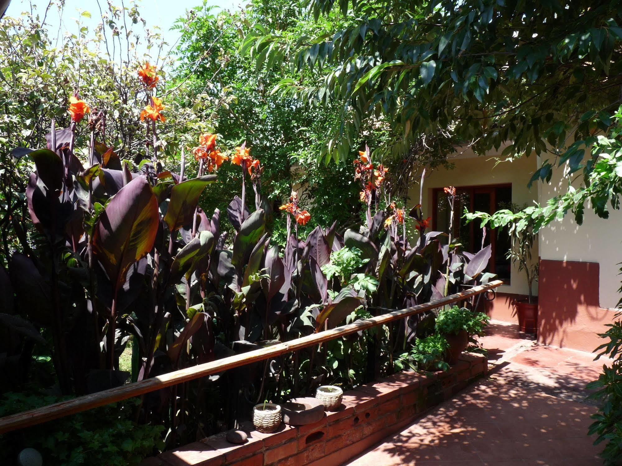 קוסקו Kukuli Lodge B&B מראה חיצוני תמונה